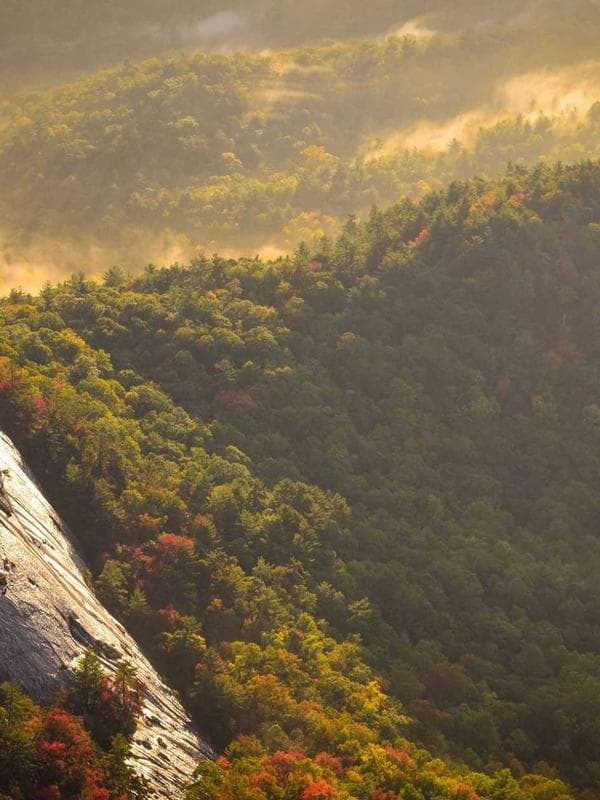 Сертификат соответствия 2